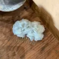 Elegant light blue fabric flower hair comb on a rustic weathered wooden surface - Tulle Floral Hair Comb - Green