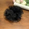 Eleganter schwarzer plissierter Organza-Haargummi mit Glitzerrand für Ballett-Frisuren - Netzbesatz / Schwarz