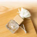Car air vent perfume diffuser glass bottle with wooden cap and flower stick for auto decor - Water Cube (10ml) / Clear