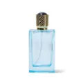 50ml empty glass perfume bottle with ornate gold cap and blue rectangular spray design - 50ML / Blue