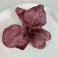 Elegant 3D orchid hair clip with plum velvet petals for versatile styling - 4# Orchid Hair Clip - Coffee
