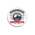 US Independence Day 250 years of freedom bald eagle metal badge commemorative brooch - Bald Eagle Profile Style (YP0618)