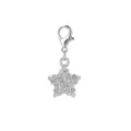 Silver star charm pendant with sparkling rhinestones and a secure lobster clasp closure - Silver Transparent Star Style (LXK-MDF579)