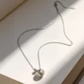 Collar minimalista de plata S925 con colgante de esfera hueca sobre un libro abierto. - Plata 925 / Platino (K1183 Platino)