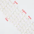 Catena fai-da-te in acciaio inox 304 con quadrifogli in conchiglia bianca e perle - Confezione da 1 Metro / Fiore Oro-Bianco