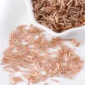 Rose gold silver-lined glass bugle beads for handmade DIY jewelry making supplies - 10g Pack / Champagne