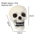 Ρεαλιστικό κρανίο Halloween από HIPS, μέγεθος 20x15x14cm για διακόσμηση μπαρ - Μη Φωτιζόμενο Κρανίο χωρίς Σχοινί