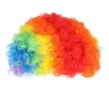 Detailansicht einer bunten Regenbogen-Afro-Perücke für Clown-Kostüme und Shows - Einheitsgröße / bunt