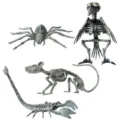 Vista detallada de esqueletos de animales de Halloween: araña, cuervo, rata y escorpión - 4-Piece Set (Crow Spider Mouse Scorpion)