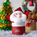 Confezione regalo di Natale per mela con simpatico topper in peluche di Babbo Natale - Scatola Regalo Babbo Natale