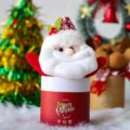 Confezione regalo natalizia in peluche con Babbo Natale per mele e dolci delle feste. - Scatola Regalo Babbo Natale in Peluche