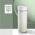 300ml gradiënt groene 316 roestvrijstalen vacuümgeïsoleerde waterfles voor dames - 300ml / Verloop Groen