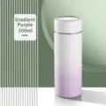 Draagbare 300ml 316 roestvrijstalen vacuümgeïsoleerde waterfles in paars kleurverloop - 300ml / Gradiënt Paars