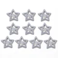 Set di 10 fermagli per capelli a forma di stella grigio lavanda per acconciature. - Stella a Cinque Punte (3.2CM) / Confezione da 10 / Grigio