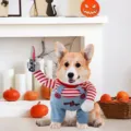 Drôle de costume de chien Halloween animal de compagnie cosplay chemise rayée salopette pour chien - Costume De Poupée Mortelle Pour Animal De Compagnie