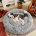 Lit pour animal de compagnie en peluche douce, tapis de couchage chaud et épais pour chats et chiens - 80cm / Gris Dégradé Épaissi