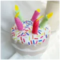 Jouet de gâteau d'anniversaire en peluche pour animaux avec bougies colorées fête chat chien - Jouets gâteau d'anniversaire pour chien - Grand gâteau