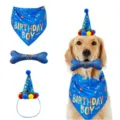 Ensemble de costume d'anniversaire pour chien avec chapeau pointu, bandana et jouet os. - Fête d'anniversaire - Ensemble de 4 os de chien - Bleu