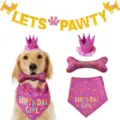 Dog Birthday Party Set Crown Hat Bandana Bone Toy Pet Birthday Decoration Supplies - Birthday Party - 4-Piece Dog Bone Set - Pink
