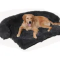 Lit de canapé pour animal de compagnie en peluche gris foncé, lit chaud pour chien. - Coins arrondis - gris foncé - amovible et lavable avec corde