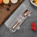 Portable rose gold cutlery set with spoon and chopsticks in a clear travel storage case. - Spoon Chopsticks Set (Rose Gold Large)