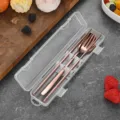 Portable rose gold stainless steel cutlery set with spoon fork and chopsticks in a case - Spoon Fork Chopsticks Set (Rose Gold Large)