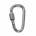 Kleiner 6cm Metall Karabinerhaken mit Schraubverschluss, stabiler D-Ring Clip für Outdoor. - Grau