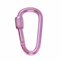 Rosa Aluminiumlegierung Verriegelung Karabiner Schlüsselanhänger D-Ring für Outdoor-Aktivität - Rosa