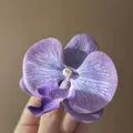 Close-up of purple orchid hair clip with pearl detail and realistic fabric texture. - Purple