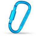 Aluminum alloy D-shaped carabiner with screw lock, lake blue, 8-size outdoor hook. - Lake Blue