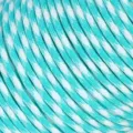 Variante paracord 4mm turchese e bianca, ideale per sopravvivenza all'aperto e progetti fai da te. - 69#
