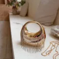 Gold luxury evening bag with circular handle and sparkling rhinestone fringe detail - Gold