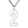 Detailed view of stainless steel number 2 pendant with minimalist silver chain - Number 2 / Steel