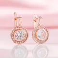Elegante Ohrringe in Roségold mit funkelnden runden Zirkonia und Halo-Design - Ohrring mit Sechs-Krappen-Fassung und Rundstras (Mit 925 Sterling Silber Ohrstecker) (T8-Rosegold) / Roségold