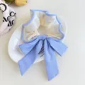 Primer plano de coletero de lazo de tela a rayas azules y blancas en un plato blanco. - Amarillo