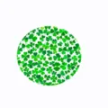 Round felt coaster with green shamrock pattern for St. Patrick's Day sublimation - Clover Pattern Style / Green