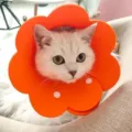Soft flower shaped orange Elizabeth collar for cats wound protection and recovery - Size S (15-21cm) / Orange