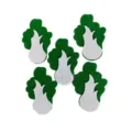 Macro detail of decorative green and white non-woven felt plant-shaped cutouts - Cabbage / 5 Pieces