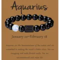 Pulsera de cuentas de ágata negra del zodiaco Acuario 10mm piedra astrología pareja regalo joya - Acuario