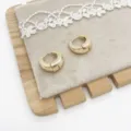 Macro detail of high-quality gold geometric chunky hoop earrings on a soft fabric display - Thick Round Style (3) / Gold