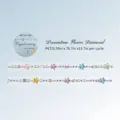 Ruban adhésif PET décoratif avec motifs fleurs en cristal et perles pour DIY - Paquet de 15mm / Diamant De Fleur Rêveur