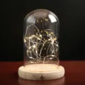 Glass dome LED copper wire string light wooden base night lamp romantic home decor - 9*15+Touch String Lights