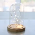 Glass dome with LED copper wire string lights and wooden base for home decor display. - 8*12+Touch String Lights