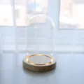 Vitrine cloche en verre transparent avec base en bois LED et interrupteur tactile. - 9*18 + veilleuse tactile à fente