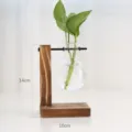 Houten standaard hydrocultuur glazen vaas detail, heldere bol container met groen plant decor. - T-type model A