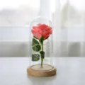 LED lichtjes kunstmatige roos in glazen koepel met houten basis romantisch cadeau - Roze Roos / Natuurhout Lichtsnoer