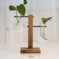 Houten standaard hydrocultuur glasvaas detail, heldere sferische fles met groene plant. - T-type model C