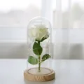 Glazen koepel met witte kunstmatige roos en LED-lichtjes, elegante woondecoratie cadeau variant. - Witte Roos / Natuurhout Lichtsnoer