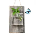 Vaso di vetro sospeso contenitore per piante idroponiche asse di legno decorazione murale - Tavola di Legno + Quadrato