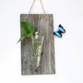 Fioriera da parete in vetro con asse in legno rustico e bella decorazione di pianta verde. - Tavola di Legno + Cono